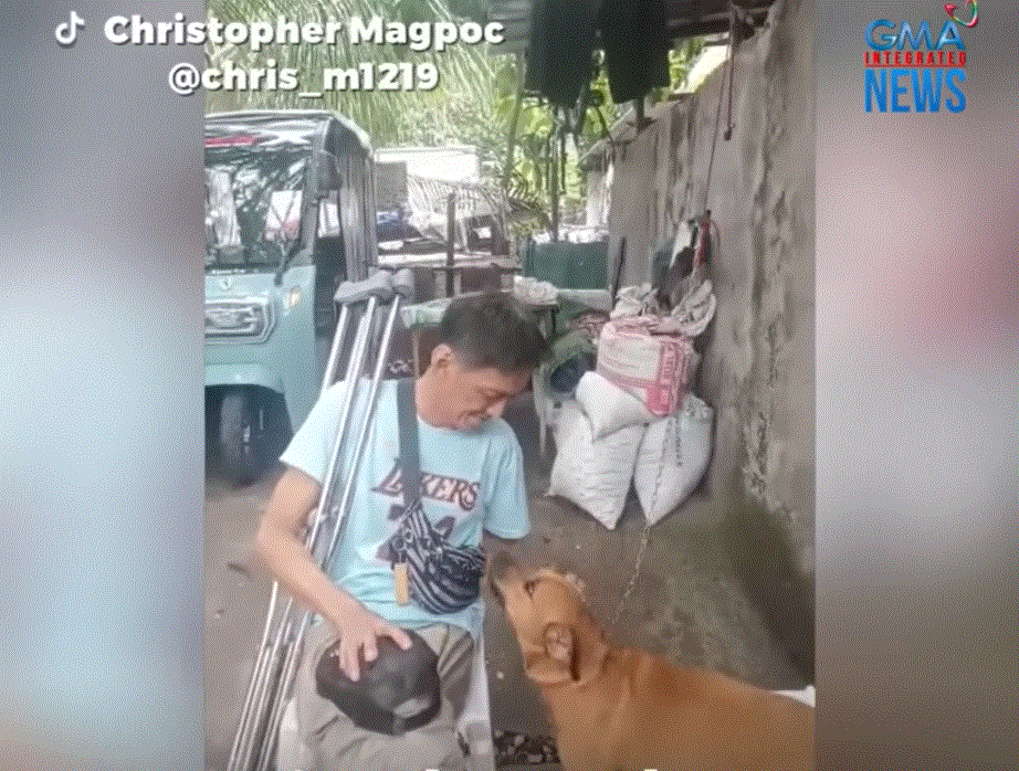 Lalaking naospital dahil sa diabetes, napaiyak dahil sa alagang asong naiwan sa bahay  thumbnail