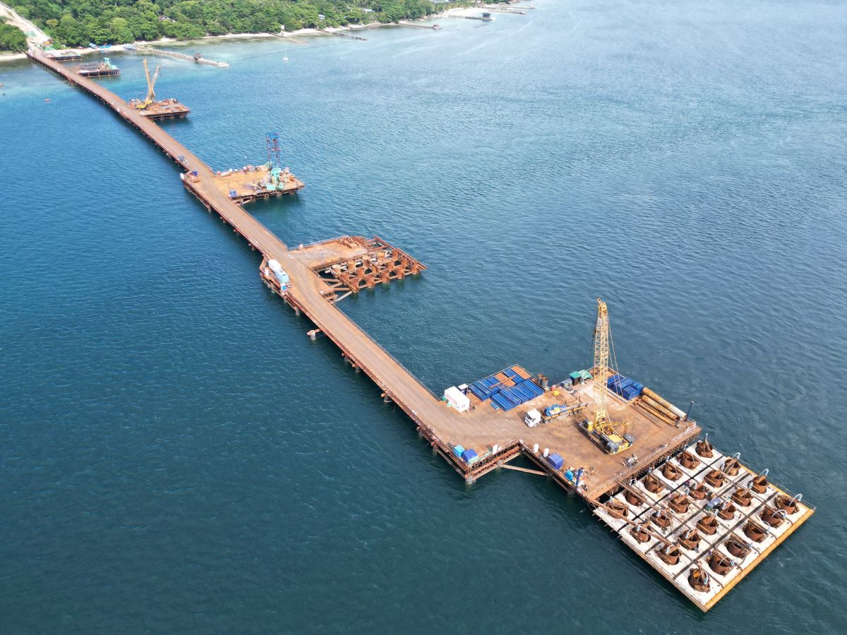 DENR to submit 'accurate, science-based' info to SC on Samal-Davao connector bridge