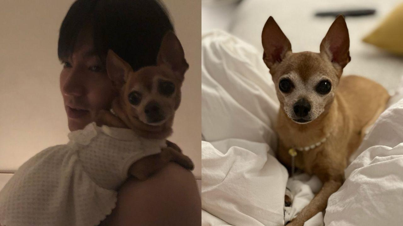 Lee Min Ho mourns passing of his pet of 16 years