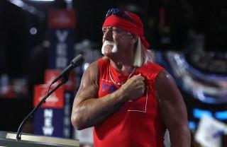 Hulk Hogan, professional entertainer and wrestler