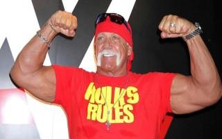 Professional wrestler Hulk Hogan