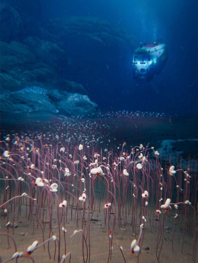An undated illustration shows the deepest chemosynthetic communities of organisms at the bottom of a deep-ocean trench, with the crewed submersible Fendouzhe above. Institute of Deep-sea Science and Engineering, CAS (IDSSE, CAS)/Handout via REUTERS