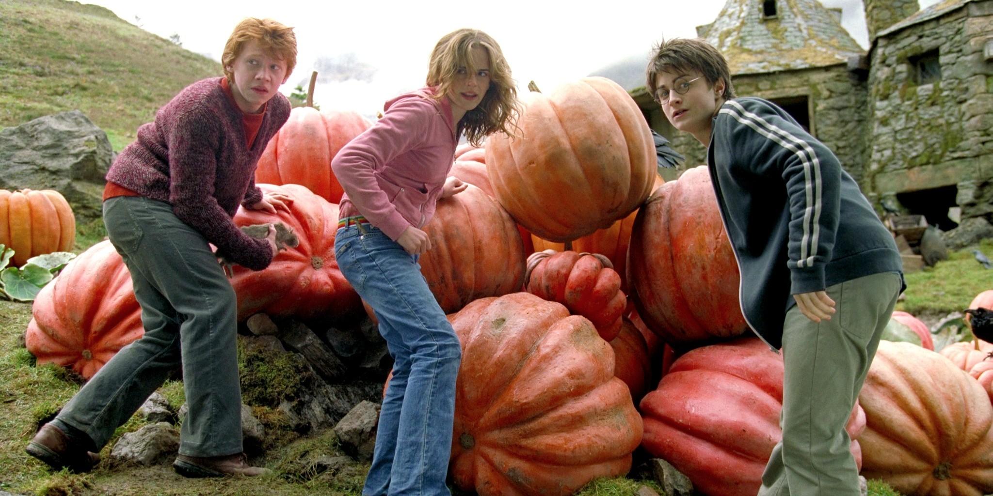Harry Potter movies to be screened in select PH cinemas this August Harry Potter movies to be screened in select PH cinemas this August