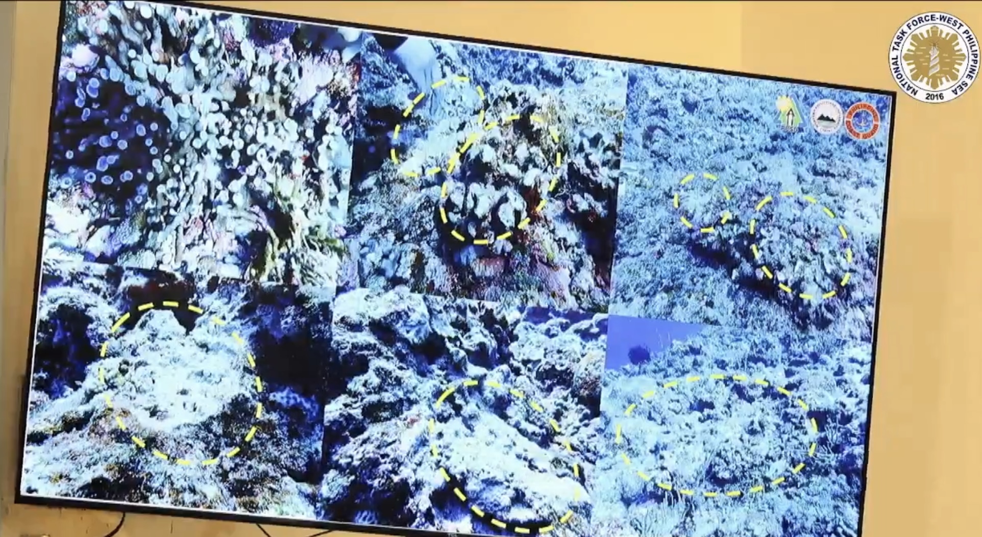 P11.1M coral reefs damaged after Chinese ship runs aground off Pag-asa Island