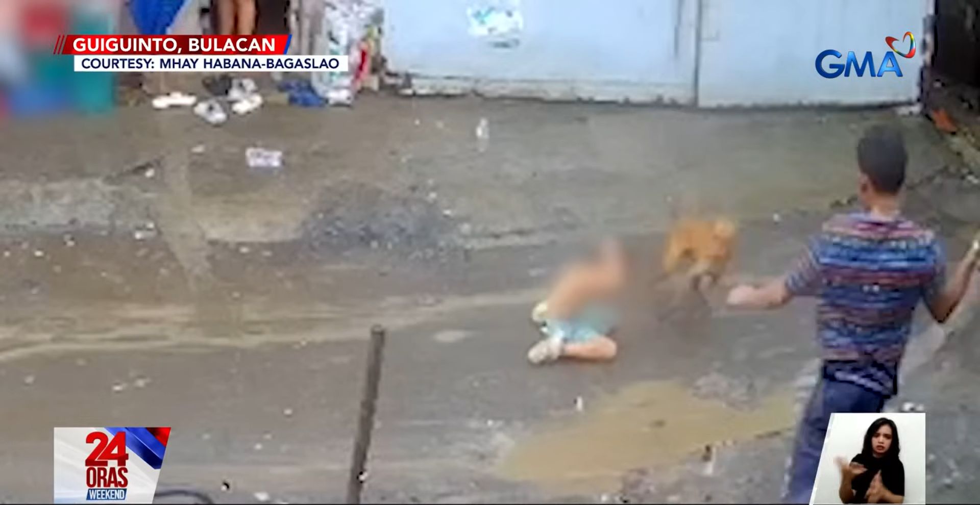 7-anyos na babae, sugatan nang sakmalin sa mukha ng nakawalang aso sa Laguna