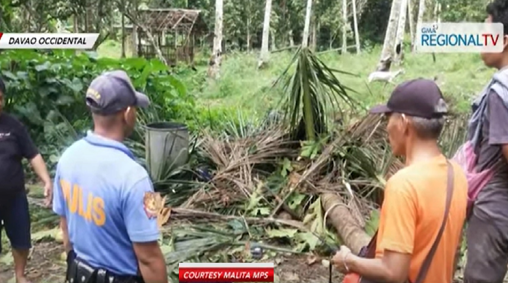 Buntis na kabuwanan na, nasawi nang mabagsakan ng puno thumbnail