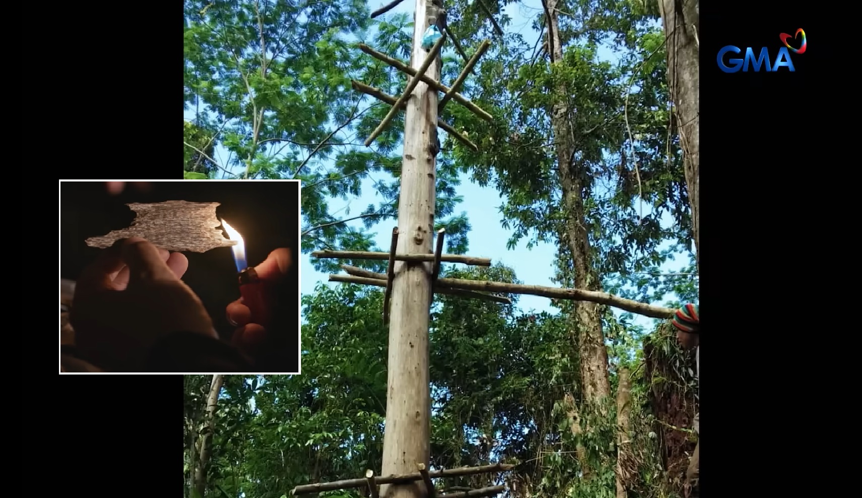 Lapnisan na tinaguriang ‘gintong puno,’ nanganganib maubos dahil Agarwood thumbnail