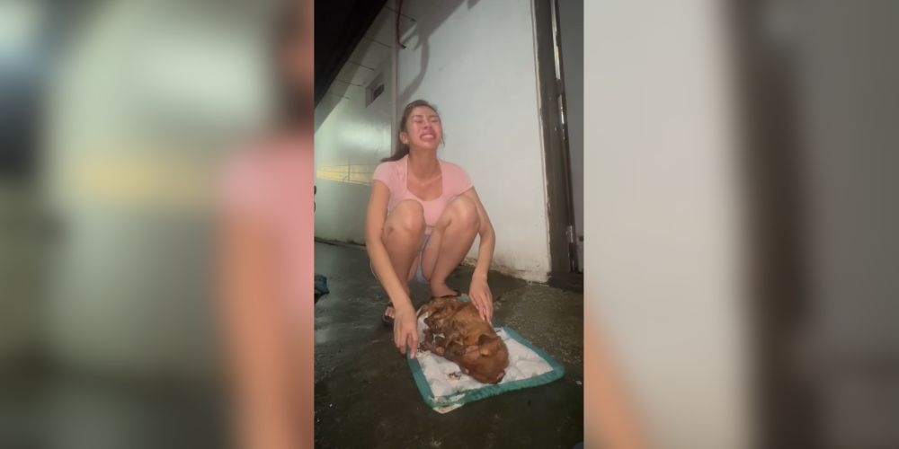 Herlene Budol mourns passing of pet dog Toti