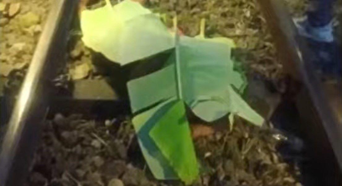 Man fatally dragged by PNR train in Camarines Sur