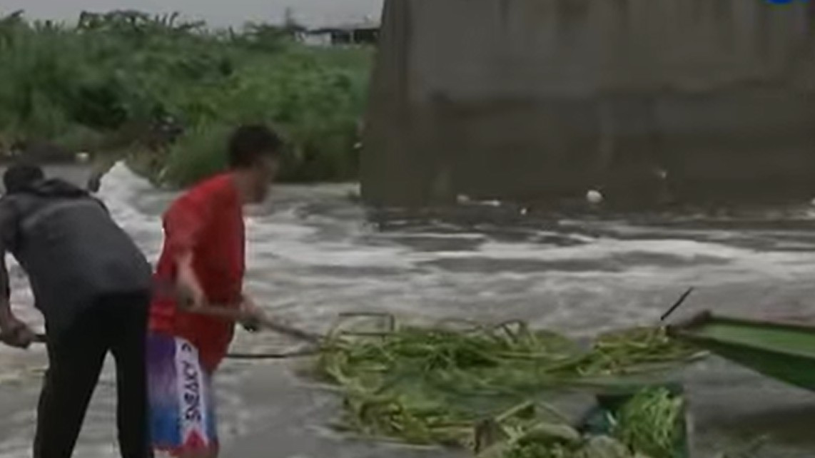 Water lilies, trash worsen floods in Biñan, Laguna