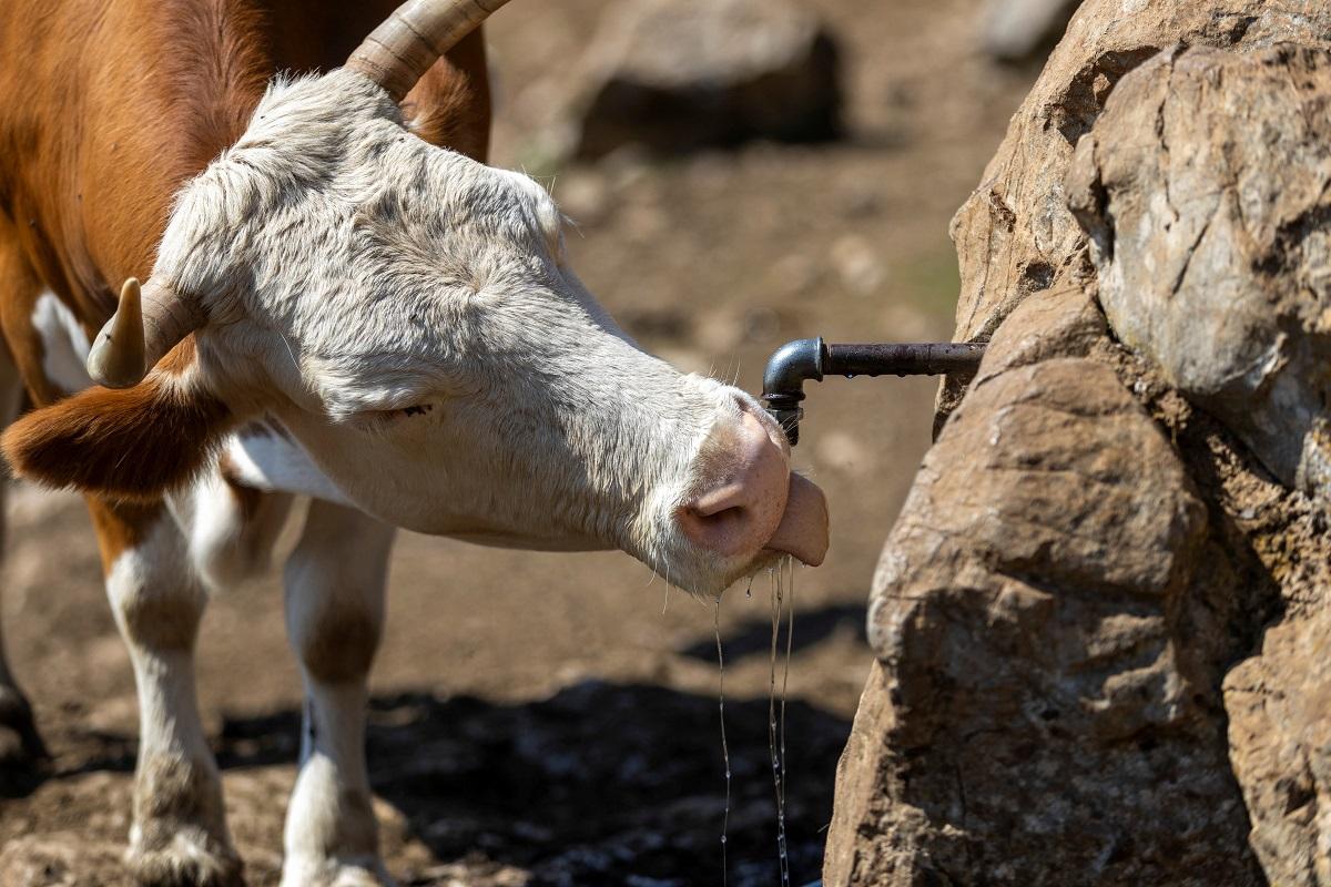 Over half of Europe and Mediterranean basin hit by drought since April