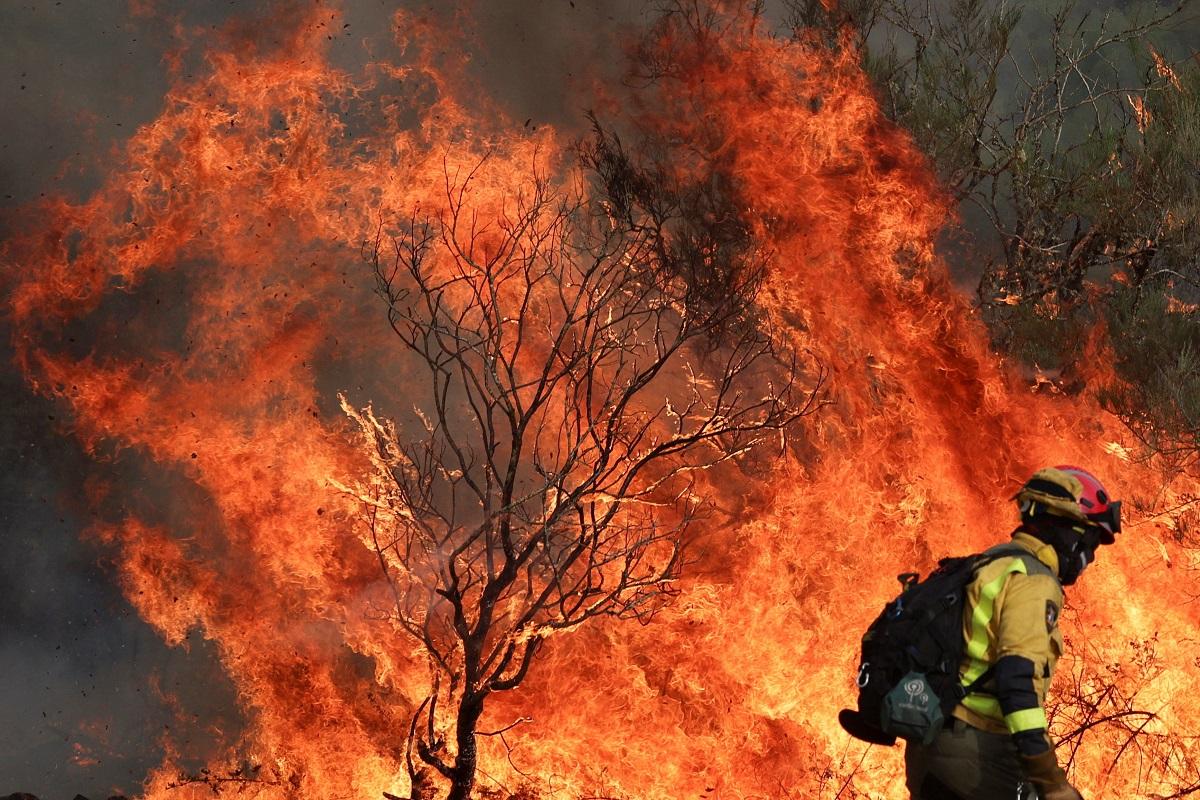 Wildfires fanned by heatwave and strong winds rage across Europe