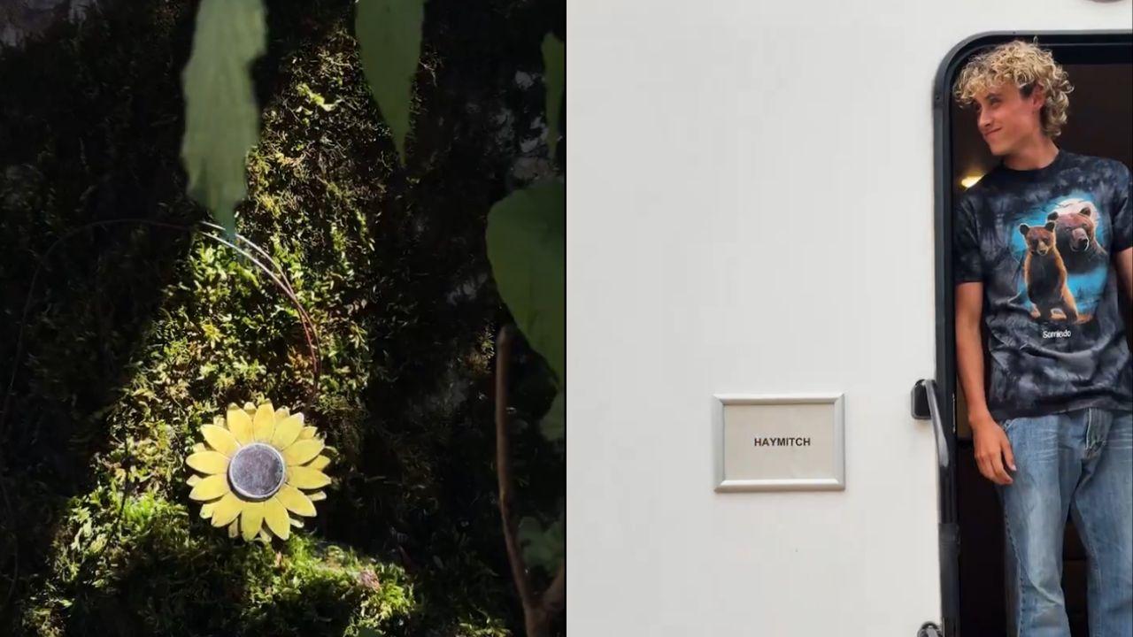 'The Hunger Games: Sunrise on the Reaping' begins production