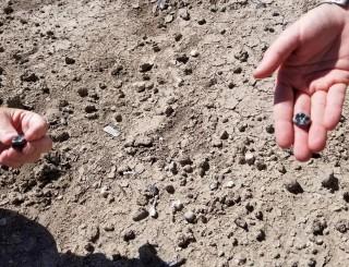 Ethiopian fossils reveal new species in human evolutionary lineage