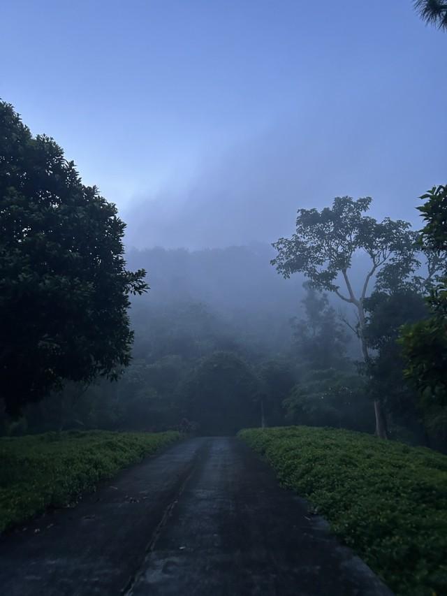 Photos: Hermes Joy Tunac/MGP, GMA Integrated News