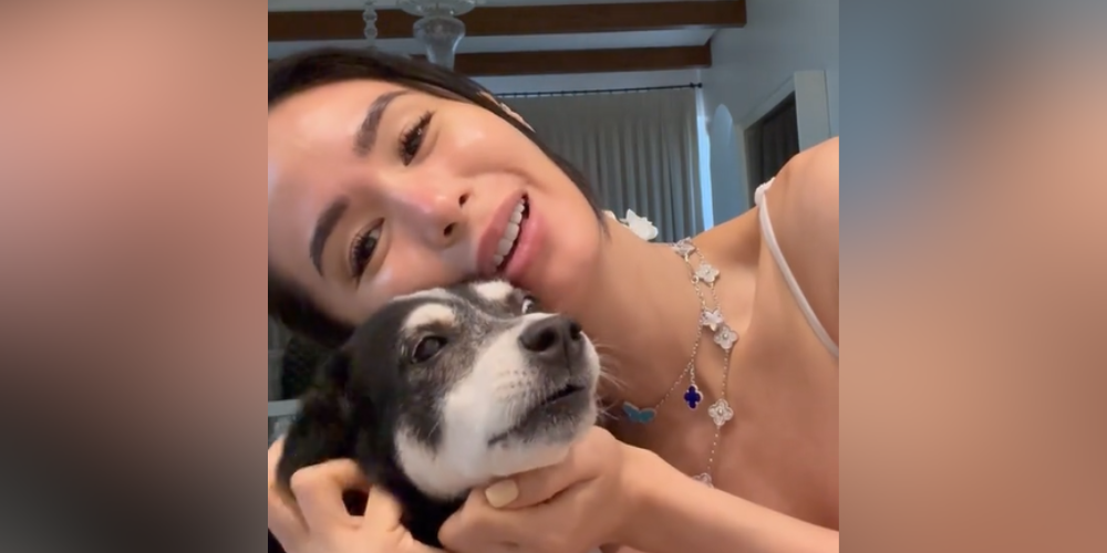 Heart Evangelista adorably sings ‘Golden’ with fur baby Panda