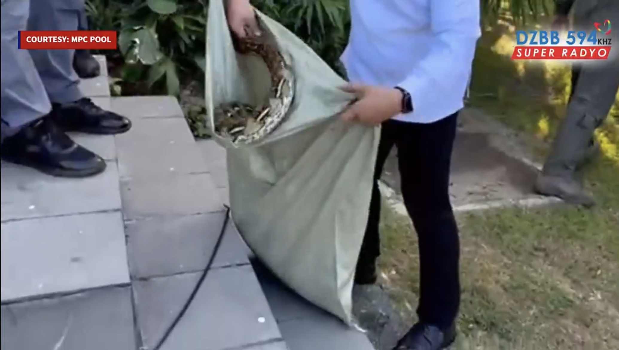 Snake caught in Villamor hours before Marcos left for India