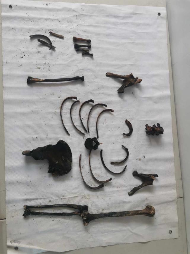 PNP missing sabungeros Taal Lake search Bones, personal belongings