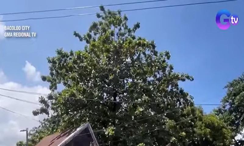 Binatilyo, pinutulan ng kamay matapos aksidenteng makahawak ng live wire