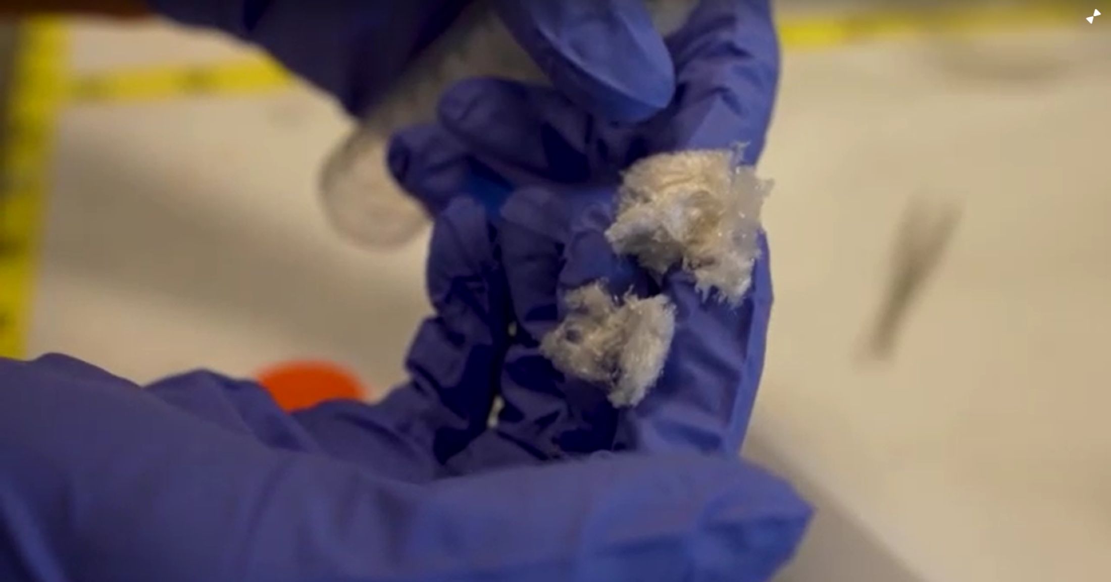 How toothpaste made from hair could help repair teeth