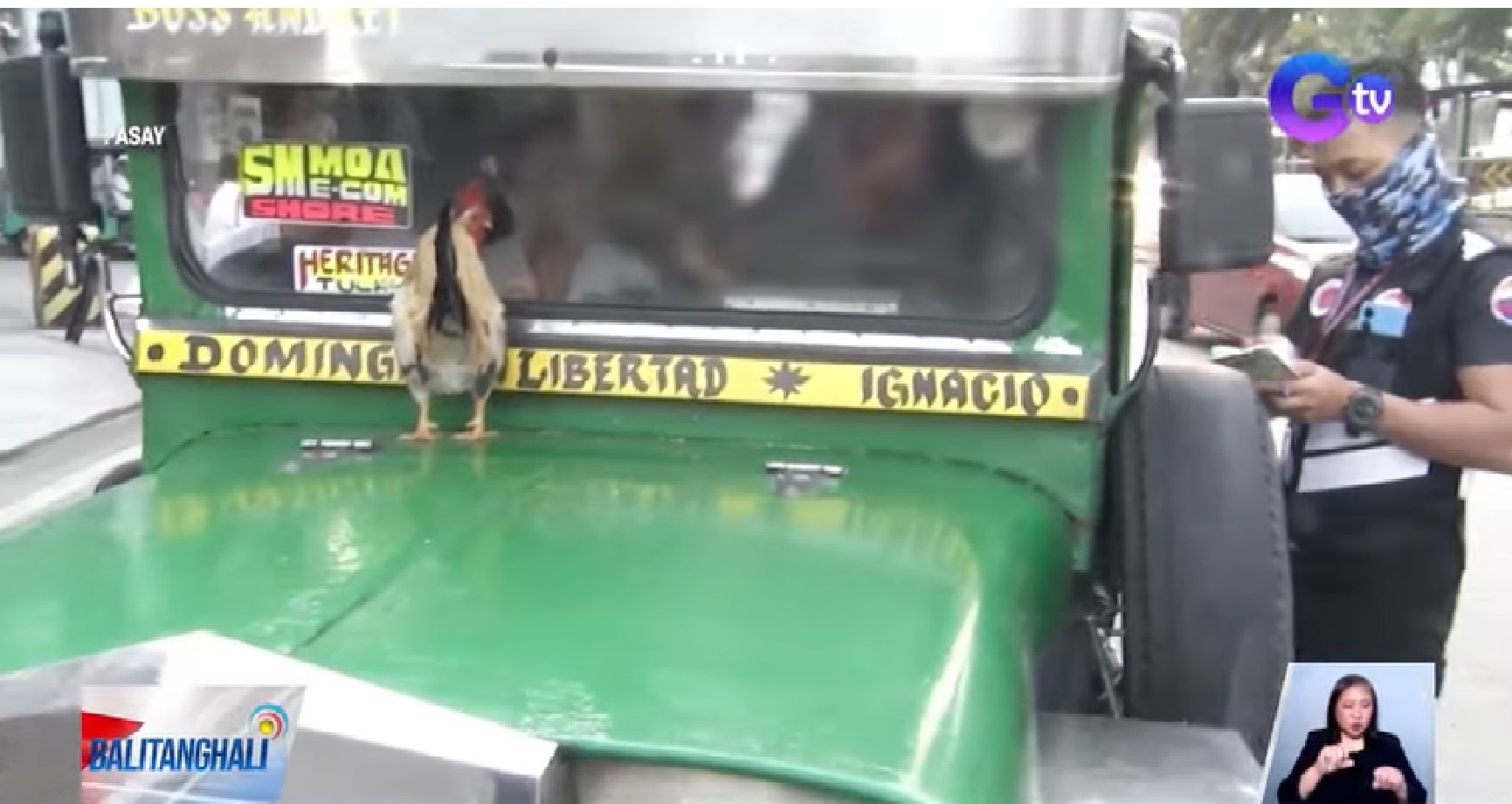 Buhay na manok na nasa hood ng pumapasadang jeep, ipinatanggal ng SAICT thumbnail