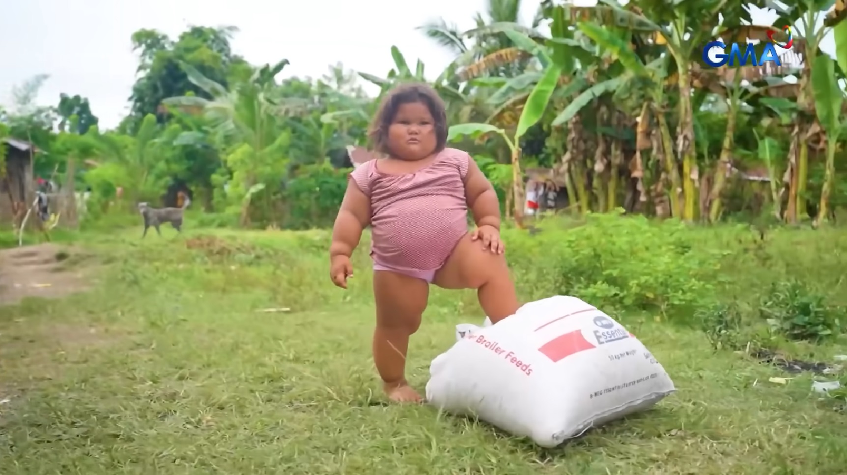 3-anyos na bata sa Bukidnon, bakit hindi itinuturing healthy kahit higit 30 kilos ang timbang?  thumbnail