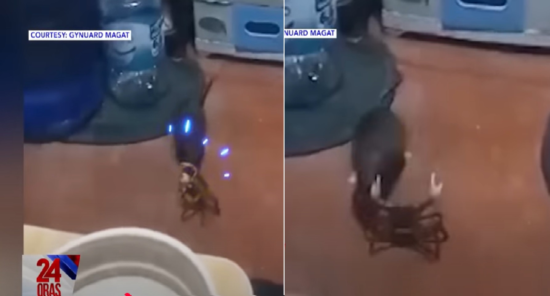 Bardagulan ng daga at alimango, nahuli-cam sa isang bahay sa Surigao del Sur thumbnail
