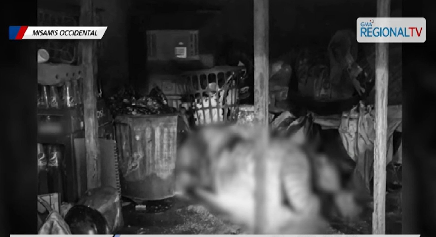 15-anyos na anak na lalaki, napatay umano sa suntok ang ina at itinago ang bangkay thumbnail