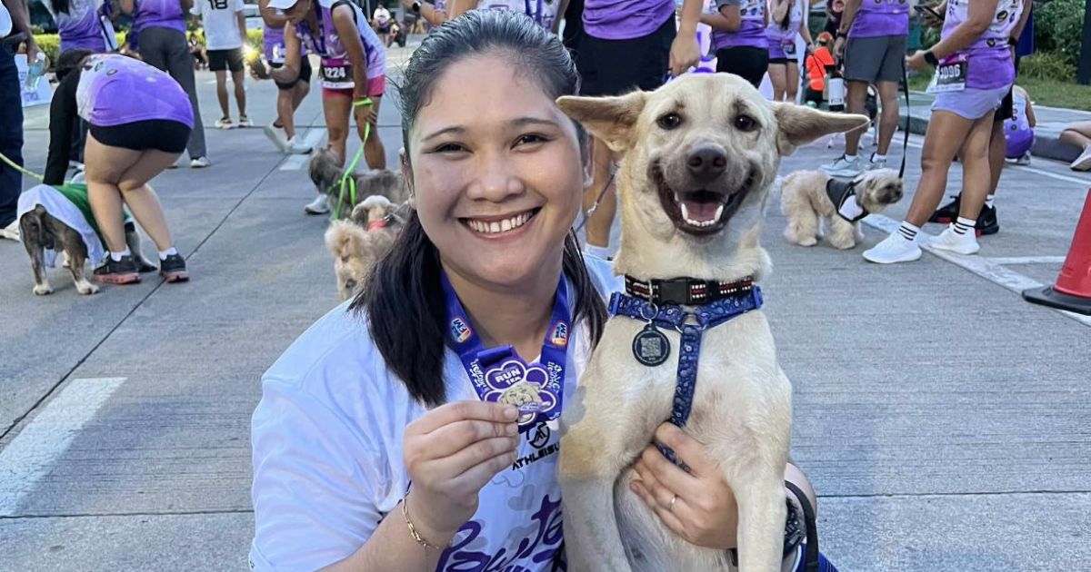 Dog rescued after getting stabbed five times triumphantly completes fun run
