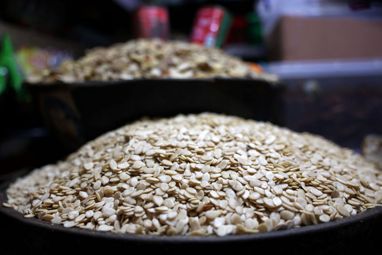 Egusi soup in space? Nigerian seeds launch into orbit