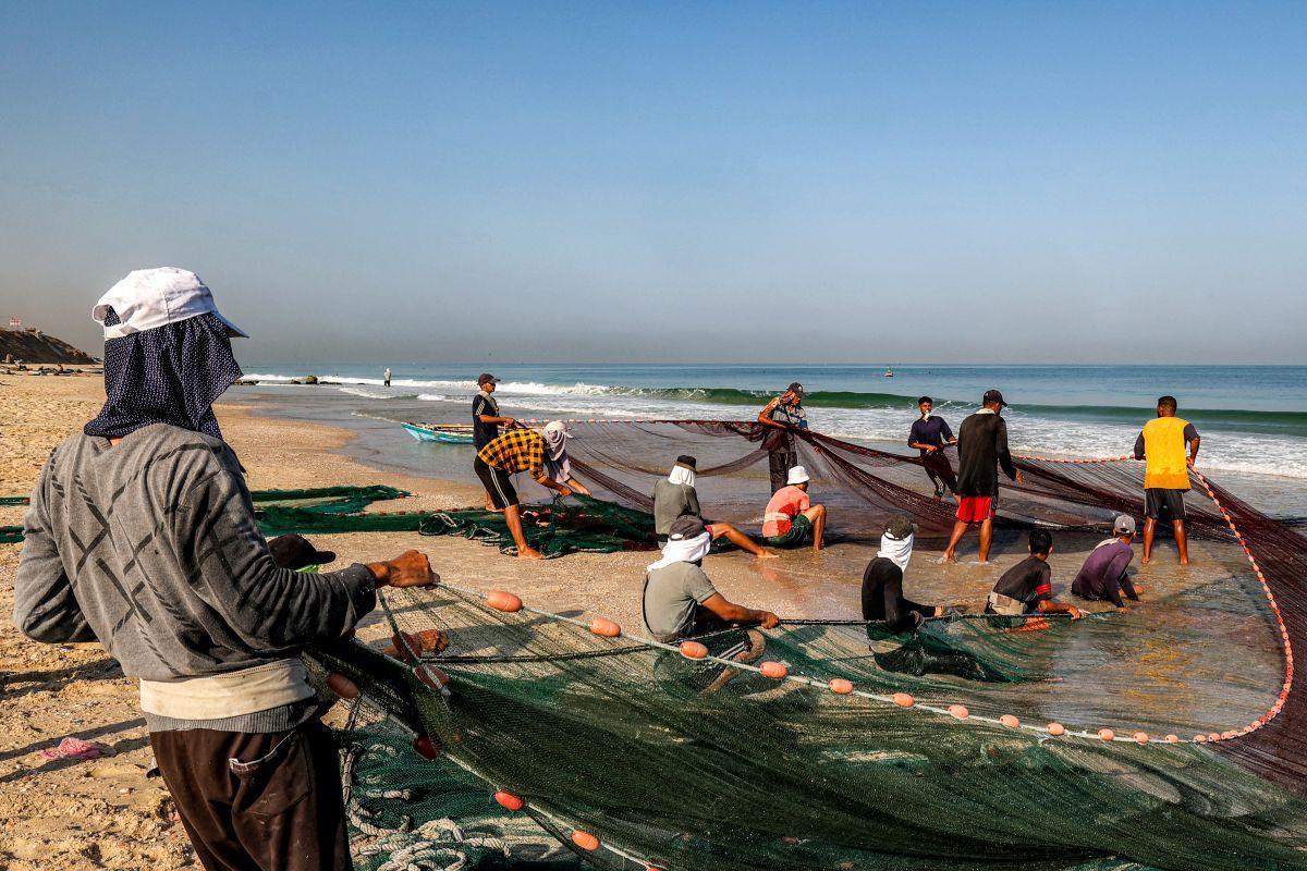 After false dawns, Gazans hope Trump will force end to two-year-old war