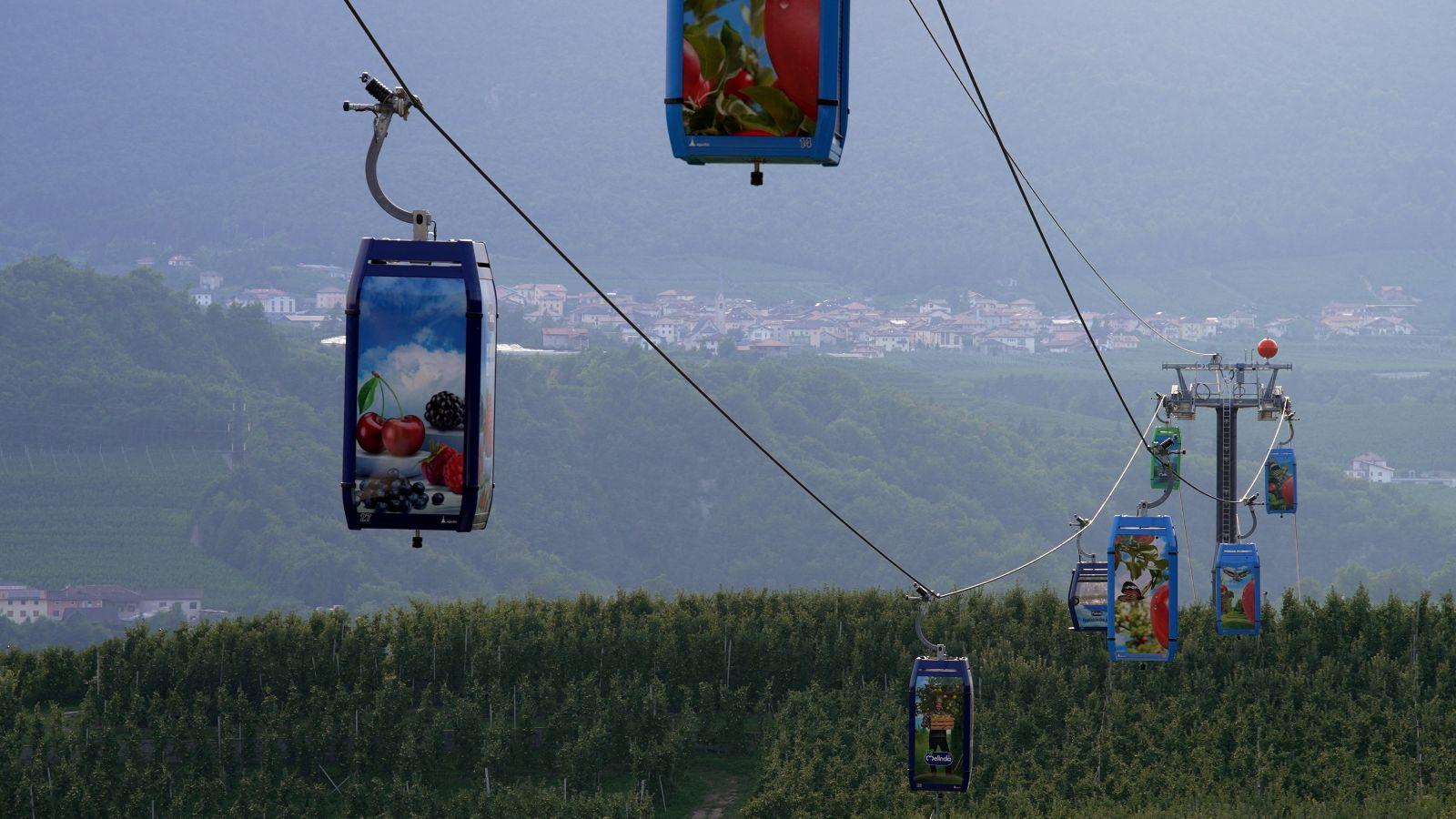Italian apples get their own dedicated cable car ride