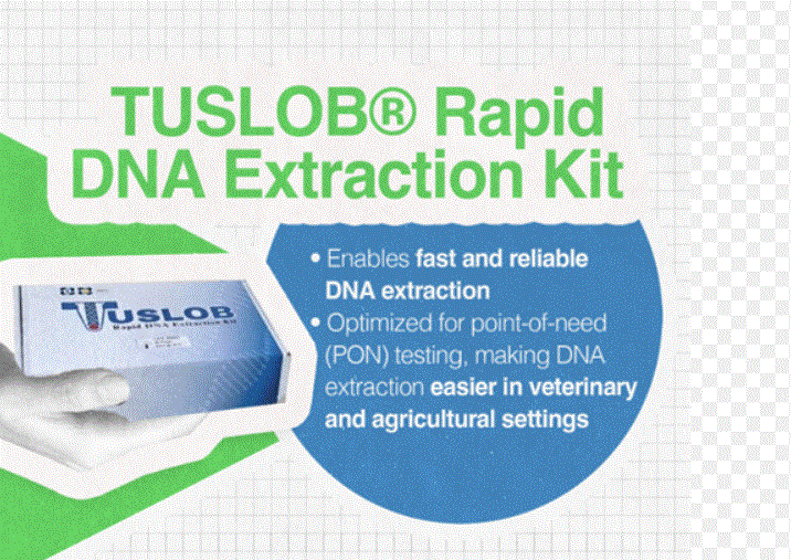 DOST unveils early detection kits for ASF