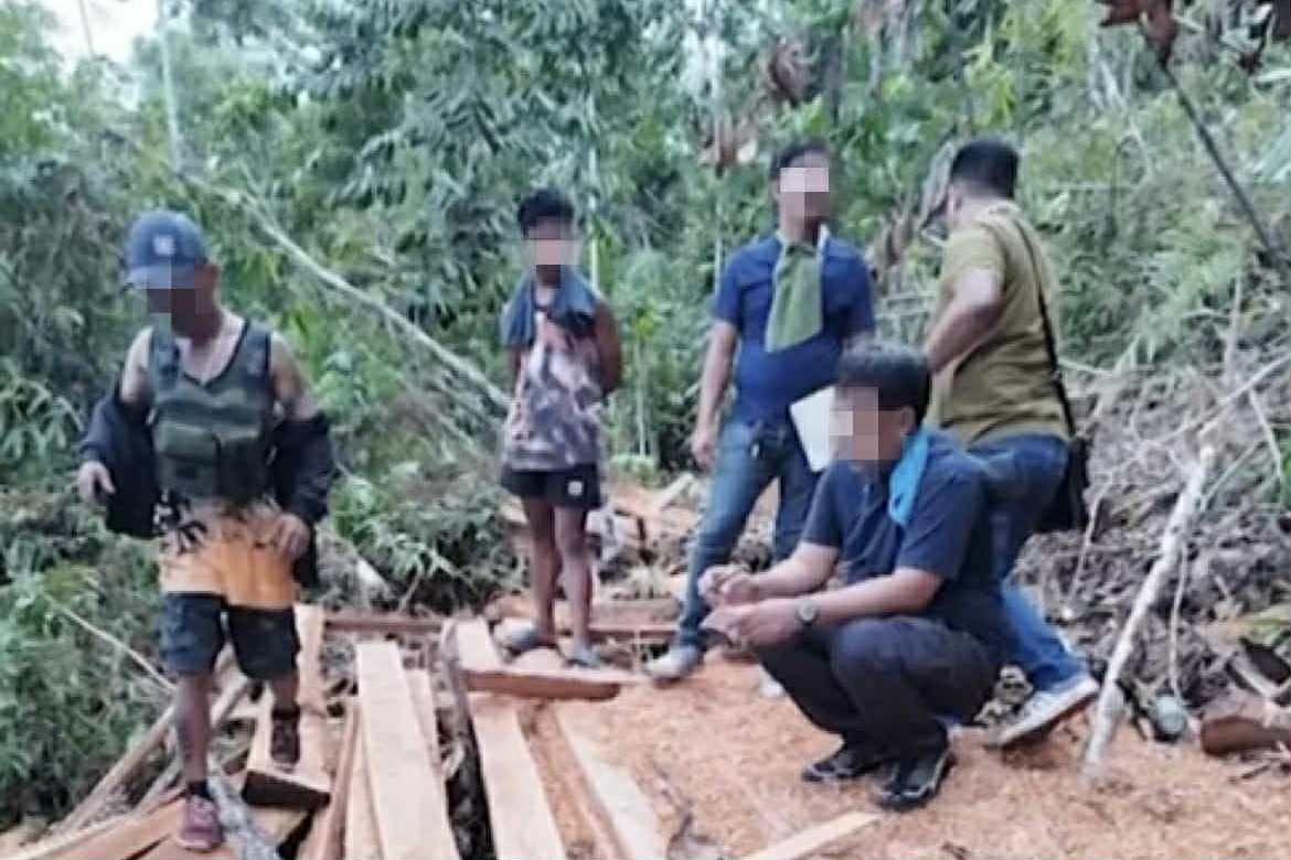 Authorities seize hardwood from alleged illegal logging site