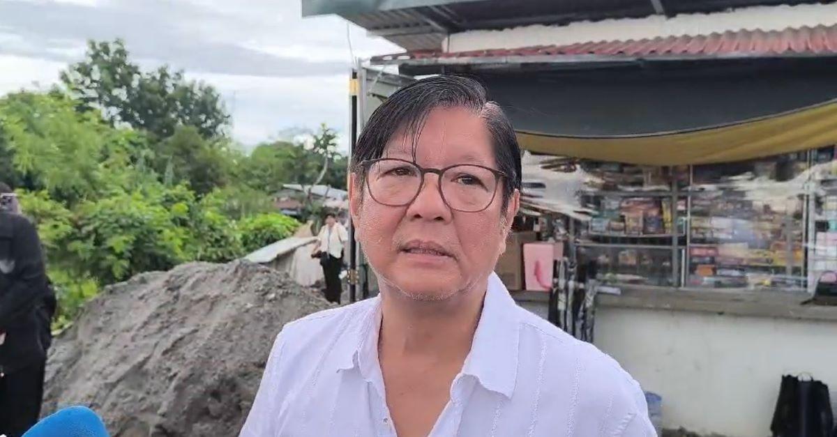 President Ferdinand Marcos Jr. 