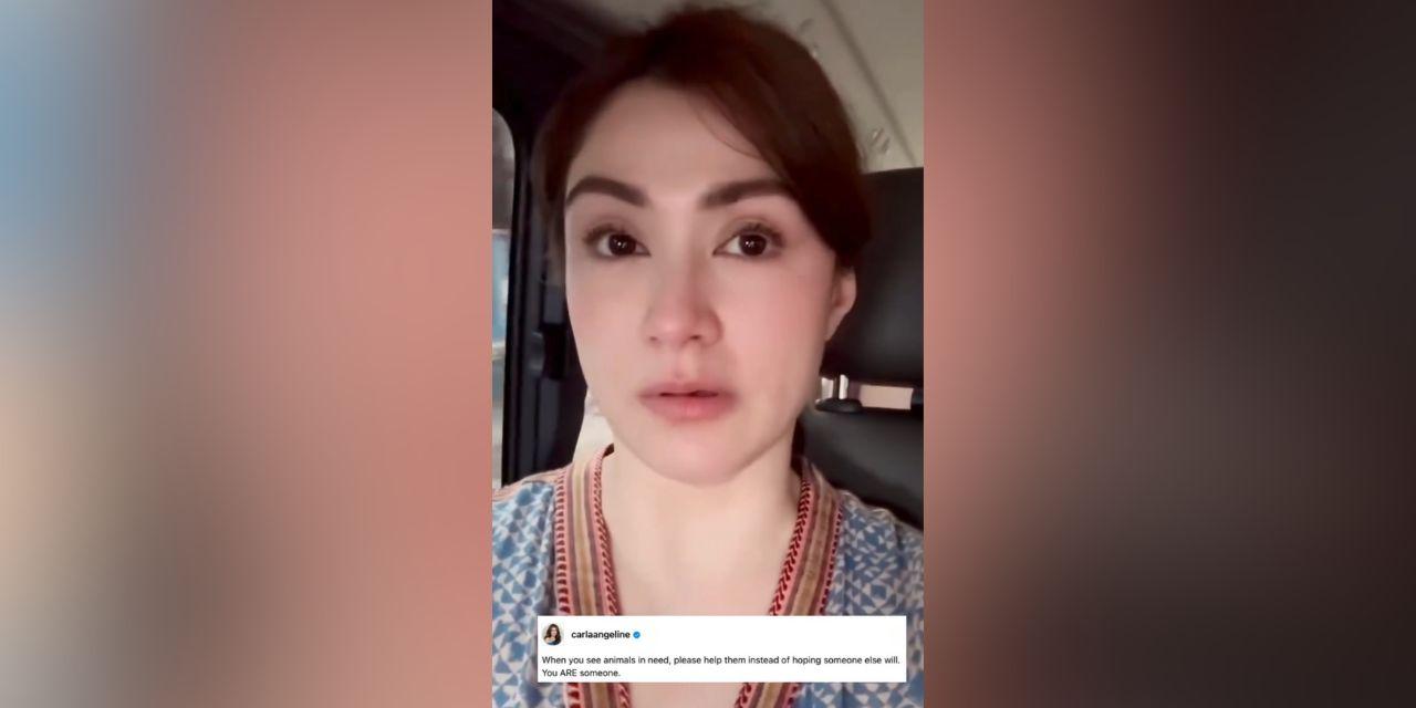 Carla Abellana emotional at finding hit-and-run aspin, gives it a proper burial