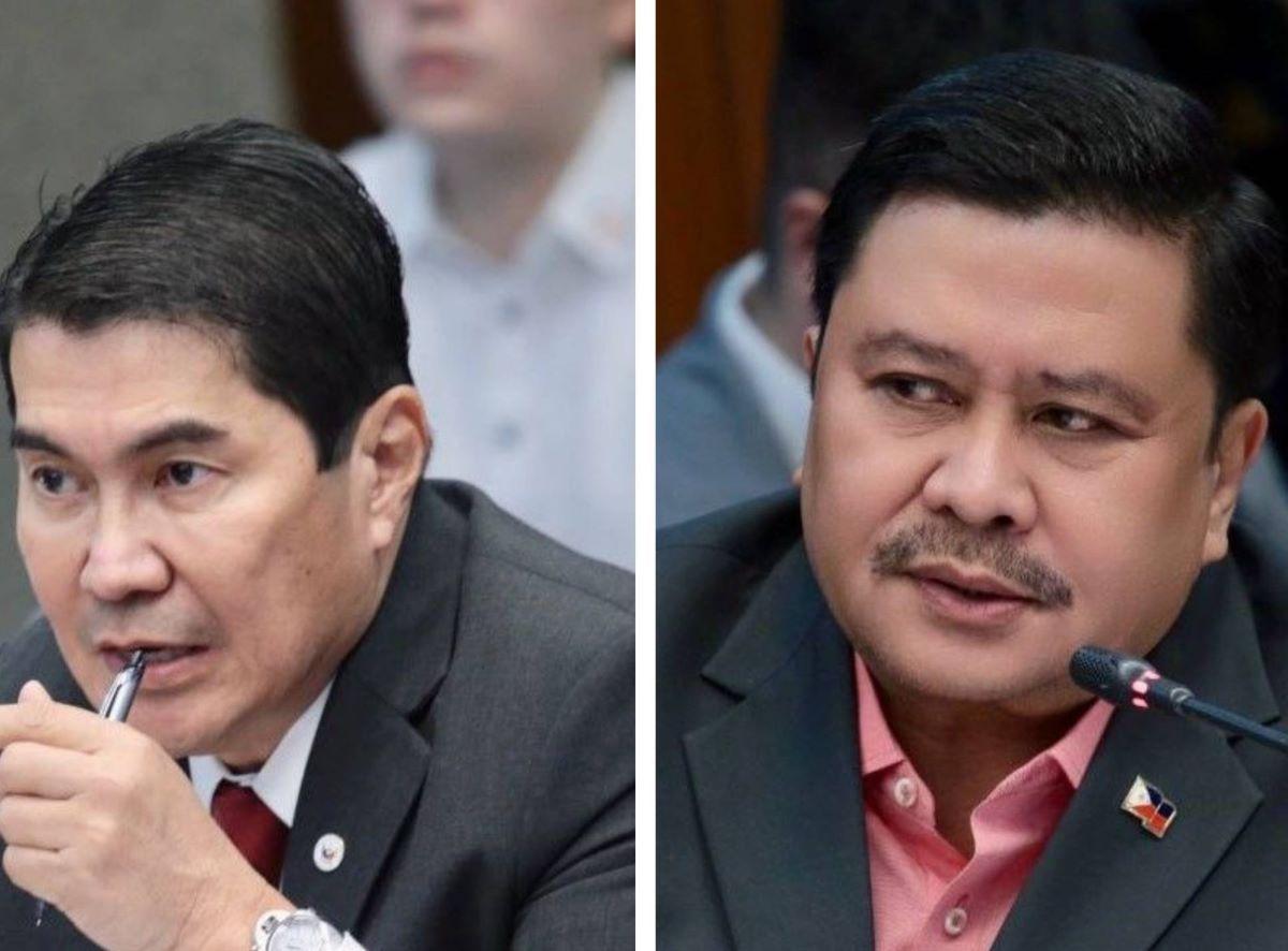 Politicians involved in anomalous flood control projects to be named -- Erwin, Jinggoy