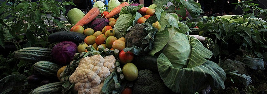 Nearly half of Filipino families produce part of their food —SWS survey