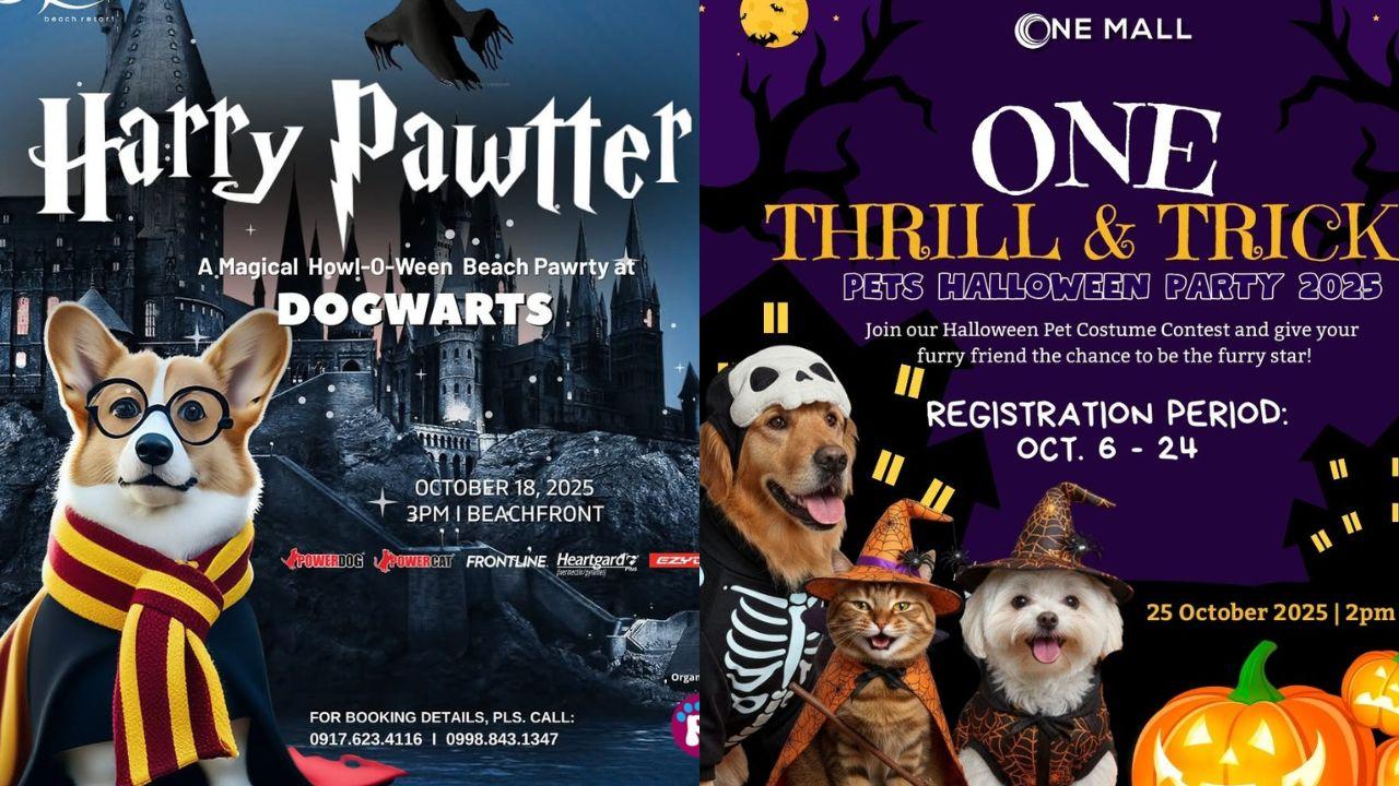From walkathons to purrades: Halloween 2025 events for pets in the Philippines