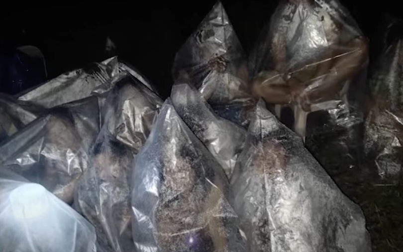 Plastic bags turn into raincoats among earthquake survivors amid rains in Cebu