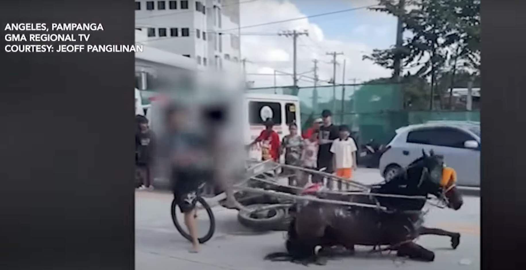 Kabayong nakikipagkarera, natumba nang masagi ng naka-motorsiklong traffic enforcer