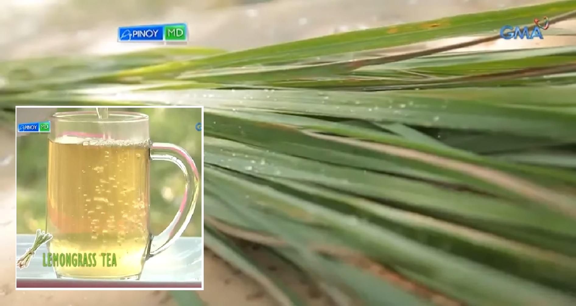 Mga benepisyong hatid ng tanglad o lemongrass sa kalusugan, alamin