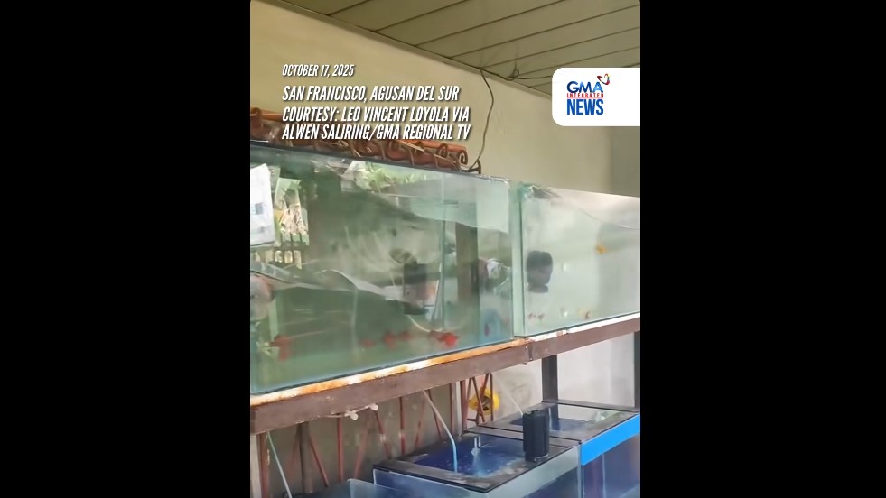 Homes shake, aquariums spill amid Surigao del Norte earthquake