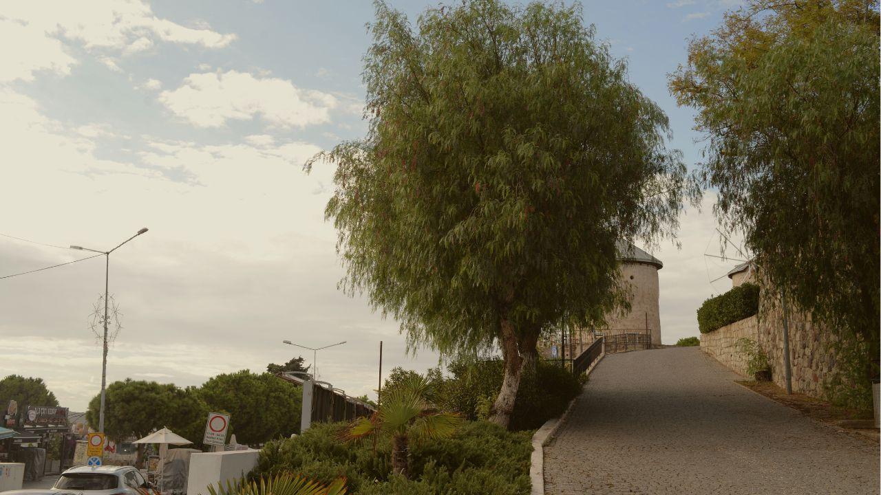 Türkiye's countryside charm: Stone houses, vineyards, and olive fields