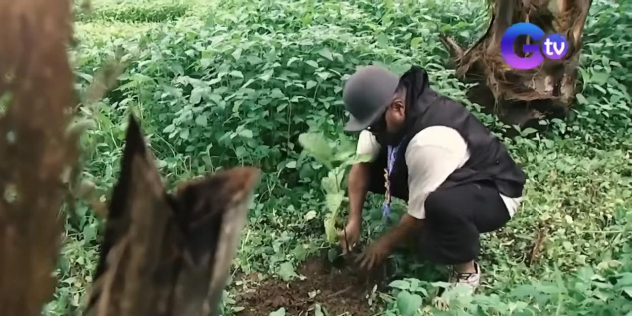 Apl.De.Ap kicks off 100 million coconut trees project in Laguna