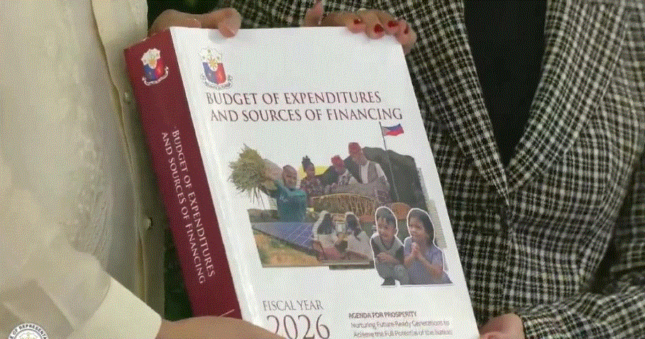 EXPLAINER: What are ‘insertions’ in the budget process?