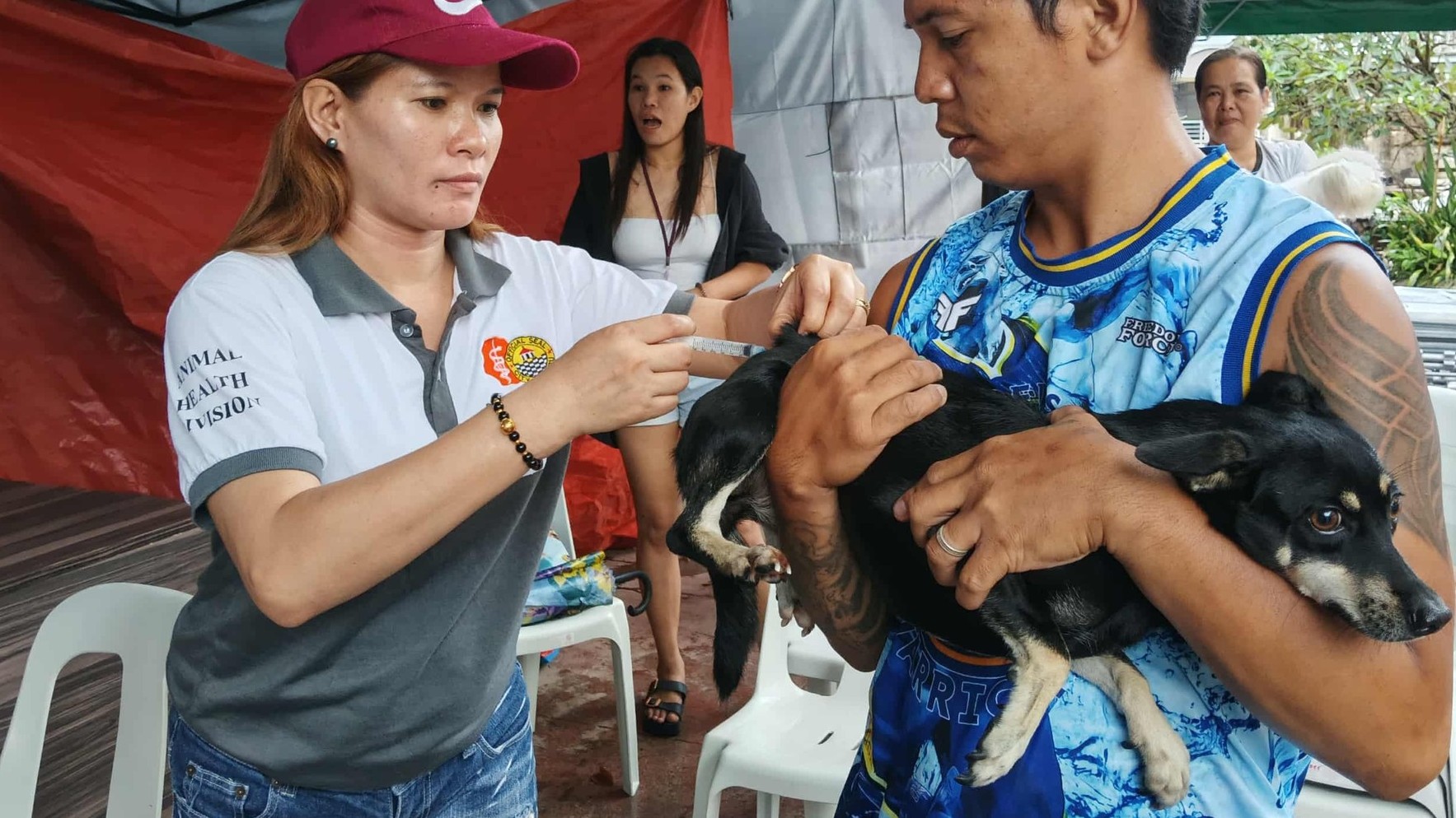 Animal relief effort initiated in northern Cebu