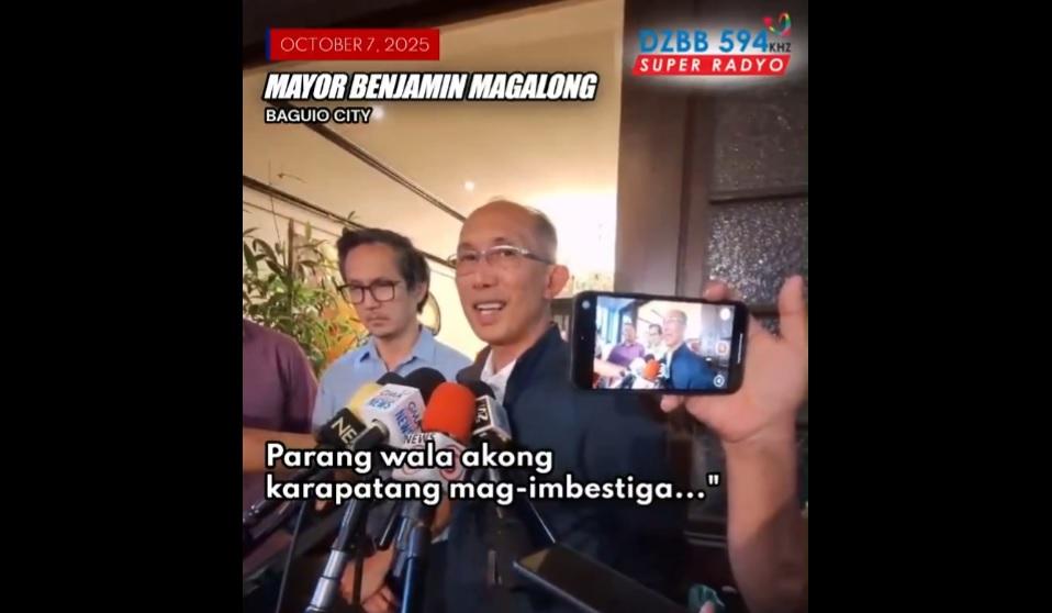 Magalong on Castro remark amid ICI exit: ‘Like I didn’t have right to investigate’