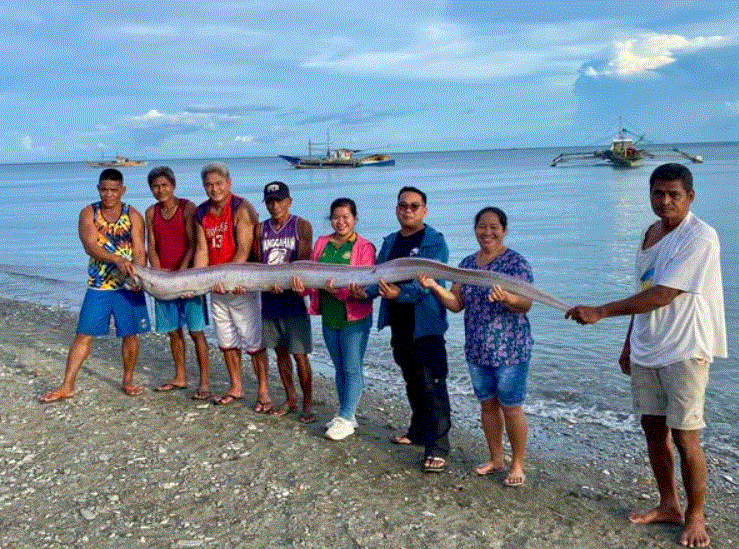11-foot oarfish washed ashore in Roxas, Oriental Mindoro