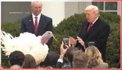 2 pabo, binigyan ng ‘pardon’ ni Trump kaya ligtas sa katay sa Thanksgiving sa White House